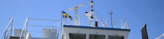 rootsi keel.jpg (16179 bytes)